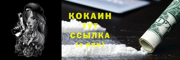 молекула духа Гусев