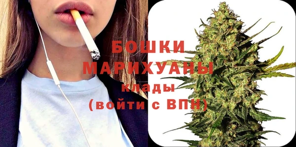 молекула духа Гусев