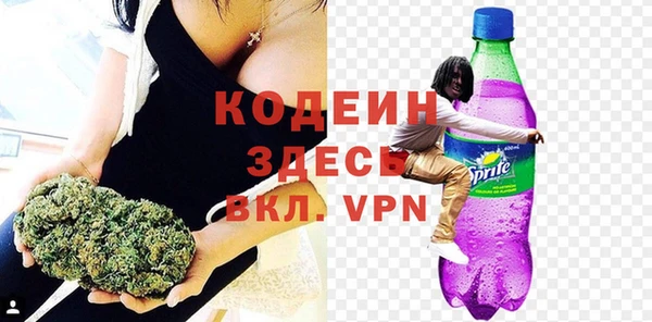 молекула духа Гусев