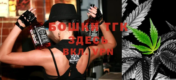 молекула духа Гусев
