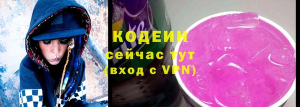 молекула духа Гусев