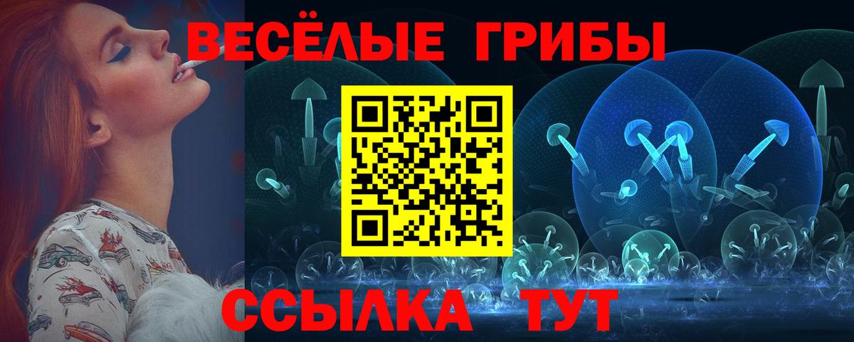 Галлюциногенные грибы GOLDEN TEACHER  Вход с VPN  Галлюциногенные грибы GOLDEN TEACHER  Фурманов 